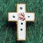 Lapel Pins