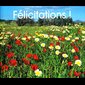 MP - Félicitations