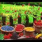 MP - Simplement, merci!