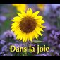 MP - Dans la joie