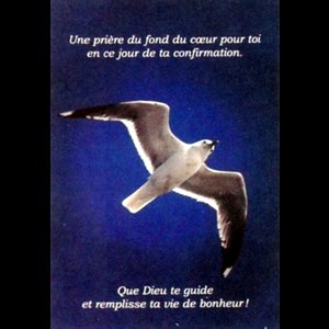 Carte Confirmation 4.25" x 6" (11 x 15 cm) / un