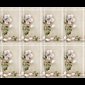 Images to be personalized 2 1/2" x 4 1/4" / pack of 96