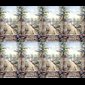 Images to be personalized 2 1/2" x 4 1/4" / pack of 96