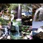 Images to be personalized 2 1/2" x 4 1/4" / pack of 96