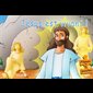 Jésus est vivant! (Pâques en 5 puzzles)