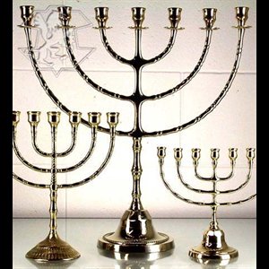 Menorah 20" x 19.3" (51 x 49 cm)