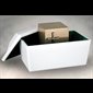 Styrene Urn Vault 10  1/2 x 14 1/2 x 10