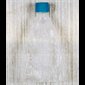 Our Lady of Lourdes Plastic Holy Water Bottle