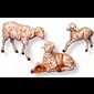 Sheep Family 3-pc/set.