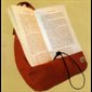 Book Seat (Brown) / ea