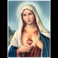 Print Sacred Heart of Mary 12" x 16" (30 x 40 cm) / un