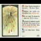 Image texte en anglais