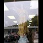 Antique Angel Plaster Statue 54'' (137 cm)