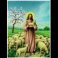 Image Bon Pasteur 24" x 36" (61 x 92 cm) / un
