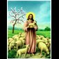 Print Good Shepperd 7.5" x 10.25" (19 x 26 cm) / un