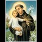 Image Saint Antoine 16" x 24" (40 x 61 cm) / un