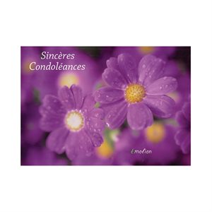 Cartes «Sincères Condoléances», 10 x 15,2cm, Français