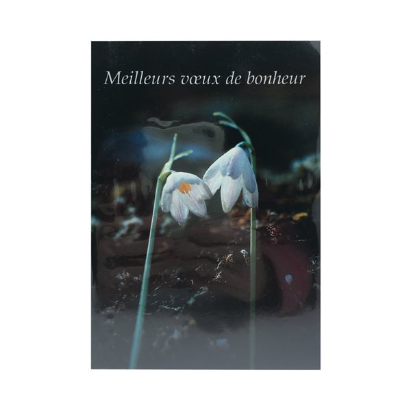 Wedding Cards, French / ea Wedding Cards, French / ea