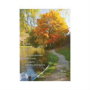 "Heureux" Spiritual Cards + env., 4 x 6", French / ea
