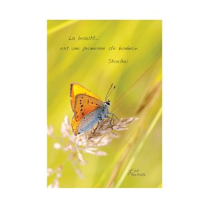 "Beauté" Card without text with envelope, 5 x 7'', French / 