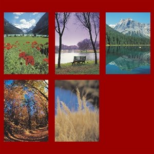 Mass Offering Cards "Landscapes" / package of 100